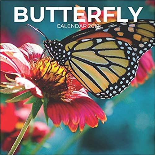 okumak Butterfly 2019 Calendar: Butterflies Phototography, Mini Calendar Book, 8.5 x 8.5, Planner, Floral Calendars, Nature Lovers Gift Idea for Home or Office, Cutel Calendars (Nature Calendars)
