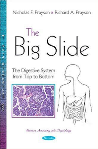 okumak The Big Slide : The Digestive System from Top to Bottom