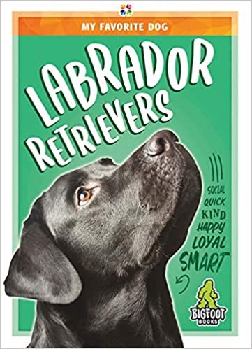 okumak Labrador Retrievers (My Favorite Dog)