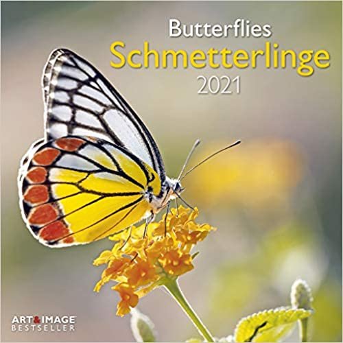 okumak Schmetterlinge 2021 - Wand-Kalender - Broschüren-Kalender - A&amp;I - 30x30 - 30x60 geöffnet: Butterflies