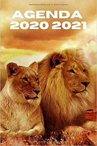 okumak AGENDA 2020 2021: Agenda lion 2020 2021 | Agenda semainier journalier lion | Agenda scolaire primaire collège lycée | Calendrier | Emploi du temps | ... septembre 2020 à septembre 2021 | thème lion