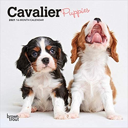okumak Cavalier King Charles Spaniel Puppies 2021 Calendar