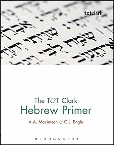 okumak The T&amp;T Clark Hebrew Primer