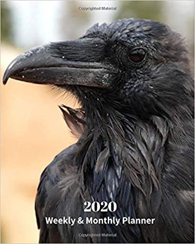 okumak 2020 Weekly and Monthly Planner: Black Raven - Monthly Calendar with U.S./UK/ Canadian/Christian/Jewish/Muslim Holidays– Calendar in Review/Notes 8 x 10 in.-Wildlife Birds Nature