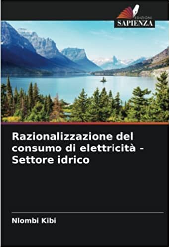 Razionalizzazione del consumo di elettricità - Settore idrico (Italian Edition)