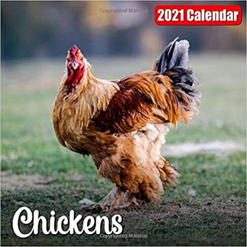 okumak Calendar 2021 Chickens: Cute Chicken Photos Monthly Mini Calendar