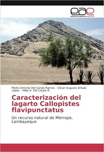 okumak Caracterización del lagarto Callopistes flavipunctatus: Un recurso natural de Mórrope, Lambayeque