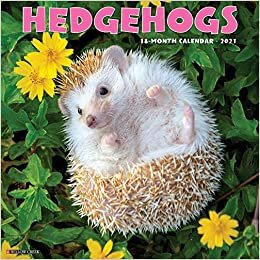 okumak Hedgehogs 2021 Calendar