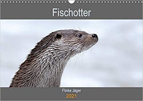 okumak Fischotter, flinke Jäger (Wandkalender 2021 DIN A3 quer): Fischotter sind flinke und wendige Jäger (Geburtstagskalender, 14 Seiten )