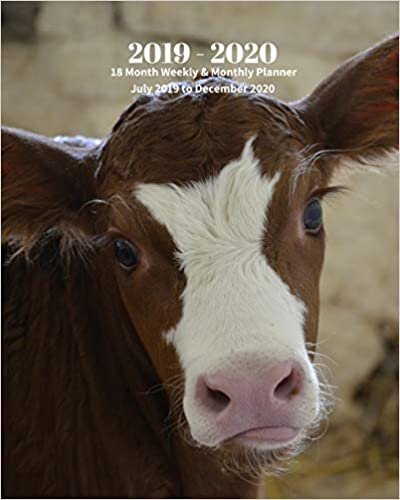 okumak 2019 - 2020 | 18 Month Weekly &amp; Monthly Planner July 2019 to December 2020: Baby Calf Cow Farm Animal Vol 2 Monthly Calendar with U.S./UK/ ... Holidays– Calendar in Review/Notes 8 x 10 in.