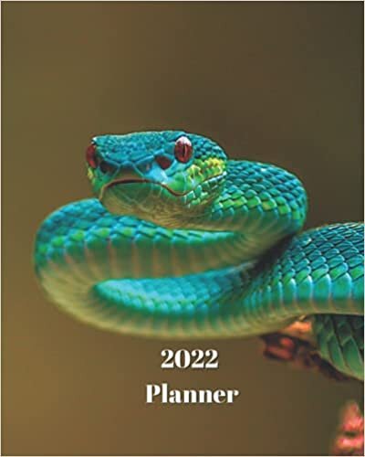 okumak 2022 Planner: Beautiful Green Snake - Monthly Calendar with U.S./UK/ Canadian/Christian/Jewish/Muslim Holidays– Calendar in Review/Notes 8 x 10 in.-Reptile Animals - For Work Business School
