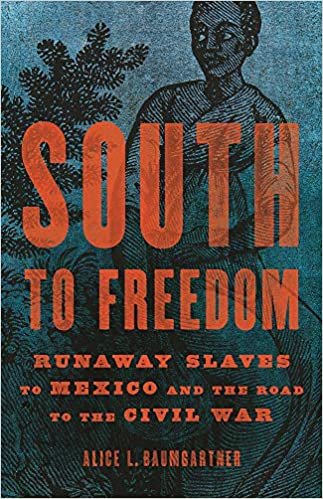 okumak South to Freedom: Runaway Slaves to Mexico and the Road to the Civil War