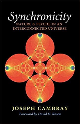 okumak Synchronicity: Nature and Psyche in an Interconnected Universe (Carolyn and Ernest Fay Series in Analytical Psychology)