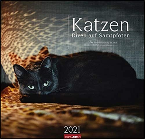 okumak Katzen - Diven auf Samtpfoten - Kalender 2021
