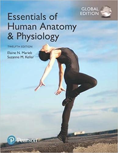 okumak Essentials of Human Anatomy &amp; Physiology Plus Pearson Mastering Anatomy &amp; Physiology with Pearson eText