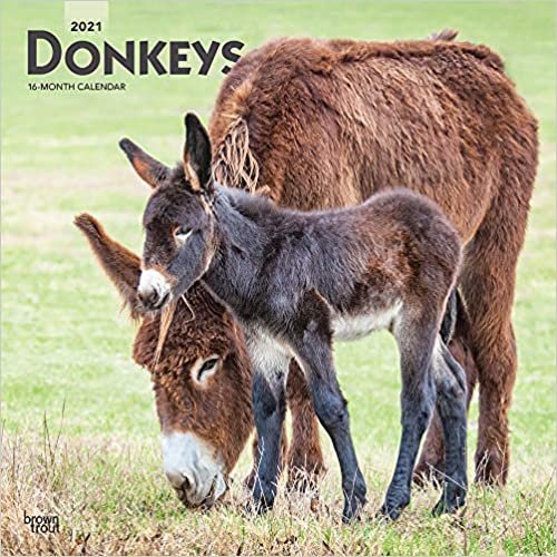 okumak Donkeys - Esel 2021 - 16-Monatskalender: Original BrownTrout-Kalender [Mehrsprachig] [Kalender] (Wall-Kalender)