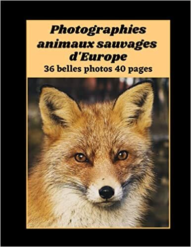 okumak Photographies animaux sauvages d&#39;Europe: livre mammifères Europe, principaux animaux Europe, 36 belles photographies en couleurs anti-stress et ... 21,59 x 27,94 cm, une belle idée de cadeau .