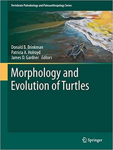 okumak Morphology and Evolution of Turtles (Vertebrate Paleobiology and Paleoanthropology)