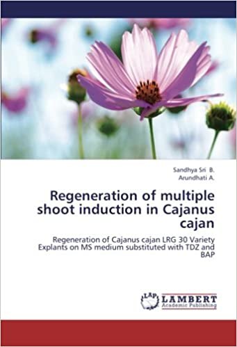 okumak Regeneration of multiple shoot induction in Cajanus cajan: Regeneration of Cajanus cajan LRG 30 Variety Explants on MS medium substituted with TDZ and BAP