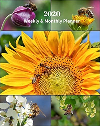 okumak 2020 Weekly and Monthly Planner: Bees and Flowers Collage - Monthly Calendar with U.S./UK/ Canadian/Christian/Jewish/Muslim Holidays– Calendar in ... in.-Insects Bugs Flowers Wildflowers Nature