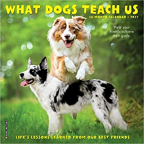 okumak What Dogs Teach Us 2021 Calendar