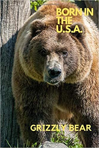 okumak BORN IN THE U.S.A.: Bear Grizzly, Animal, Animal U.S.A. , Life in nature, American Nature