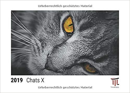 okumak chats x 2019 calendrier de bureau timokrates calendrier photo calendrier photo d