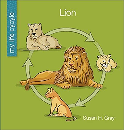 okumak Lion (My Early Library: My Life Cycle)