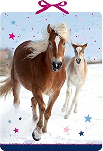 okumak Wandkalender - Pferdefreunde im Schnee