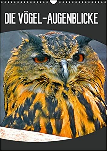 okumak DIE VÖGEL - AUGENBLICKE (Wandkalender 2021 DIN A3 hoch): Augenblicke - der schönsten Vögel aus aller Welt (Planer, 14 Seiten )