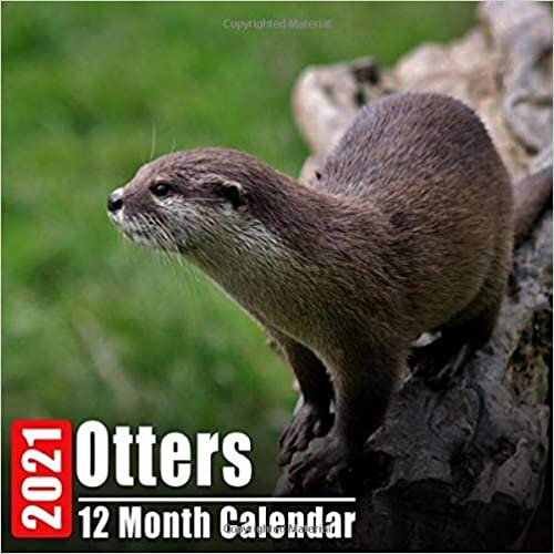 okumak Calendar 2021 Otters: Cute Otter Photos Monthly Mini Calendar With Inspirational Quotes each Month