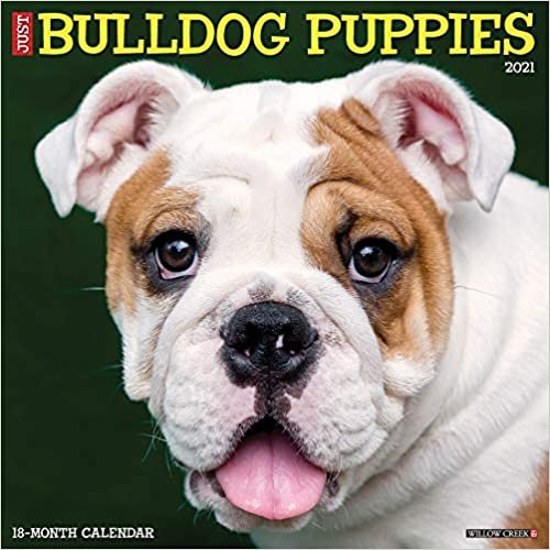 okumak Just Bulldog Puppies 2021 Calendar