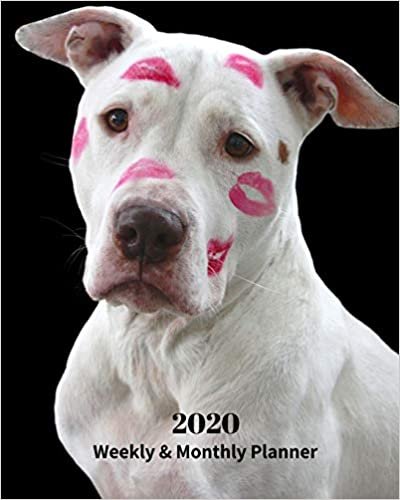 okumak 2020 Weekly and Monthly Planner: White Pit Bull with Lipstick - Monthly Calendar with U.S./UK/ Canadian/Christian/Jewish/Muslim Holidays– Calendar in Review/Notes 8 x 10 in.- Dog Breed Pets