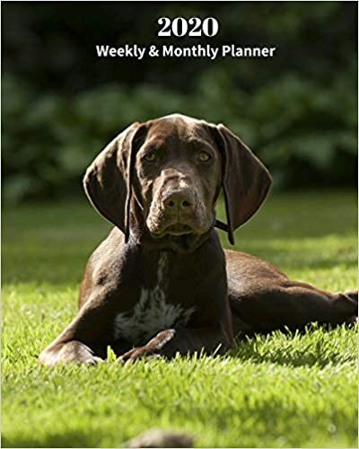 okumak 2020 Weekly and Monthly Planner: Monthly Calendar with U.S./UK/ Canadian/Christian/Jewish/Muslim Holidays– Calendar in Review/Notes 8 x 10 in.-German Short Haired Pointer Dog Breed Pets