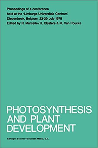 okumak Photosynthesis and Plant Development