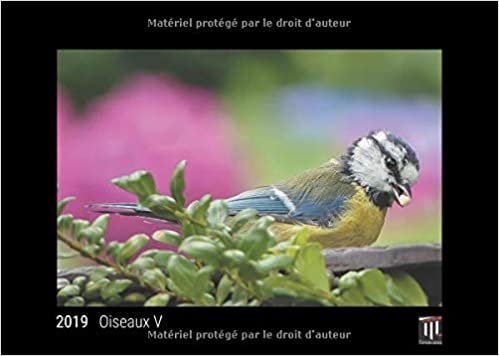okumak oiseaux v 2019 edition noire calendrier mural timokrates calendrier photo calend