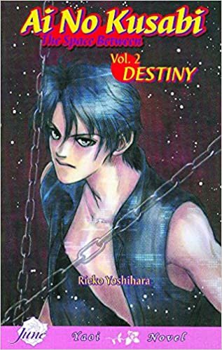 okumak Ai No Kusabi The Space Between Volume 2: Destiny (Yaoi Novel): Destiny (Yaoi Novel) v. 2