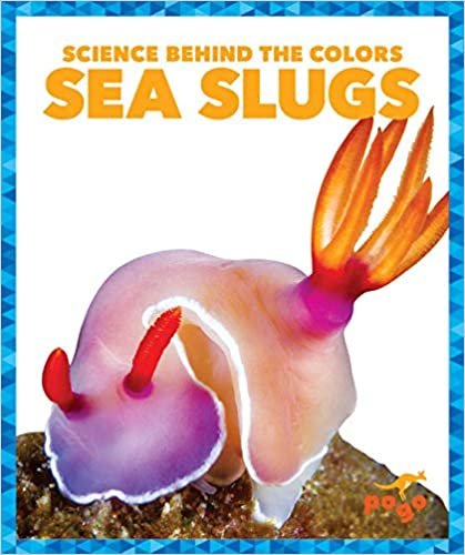 okumak Sea Slugs (Science Behind the Colors)
