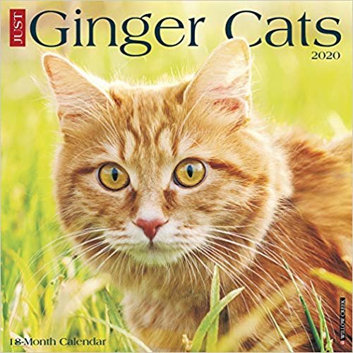 Just Ginger Cats 2020 Wall Calendar