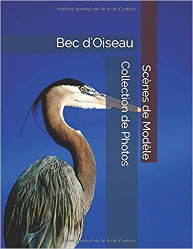 okumak Bec d&#39;Oiseau - Scènes de Modèle - Collection de Photos