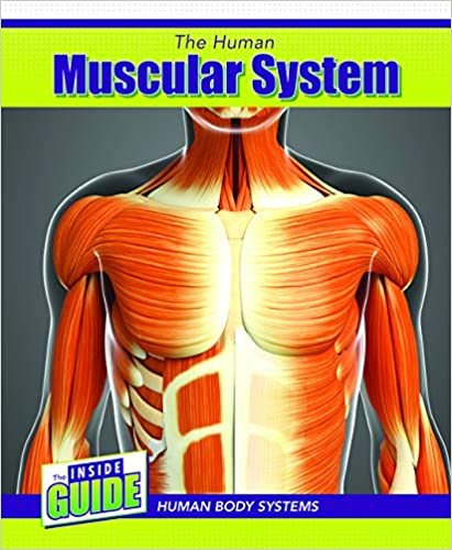 okumak The Human Muscular System (Inside Guide: Human Body Systems)