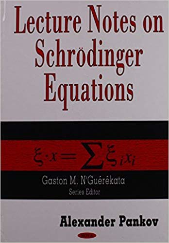 okumak Lecture Notes on Schroedinger Equations