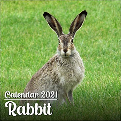 okumak Calendar 2021 Rabbit: Cute Rabbit Photos Monthly Mini Calendar | Small Size