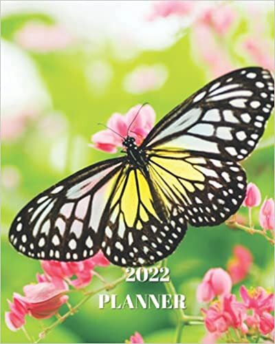 okumak 2022 Planner: Beautiful Butterfly - Monthly Calendar with U.S./UK/ Canadian/Christian/Jewish/Muslim Holidays– Calendar in Review/Notes 8 x 10 in.-Insects Nature Animals For Work Business School