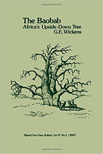 okumak Baobab - Africas Upside-Down Tree