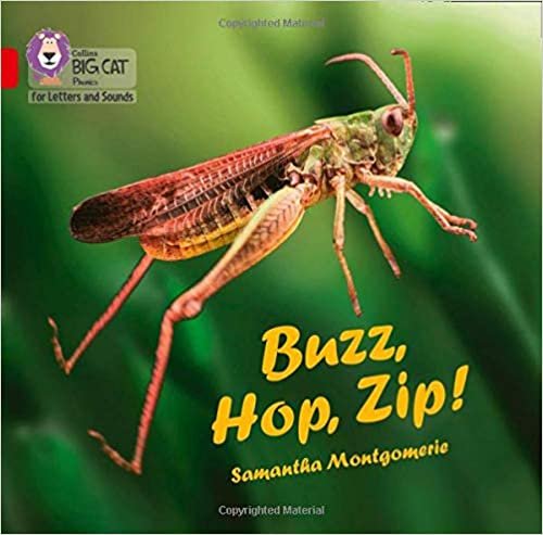 okumak Buzz, Hop, Zip! Big Book: Band 02a/Red a (Collins Big Cat Phonics for Letters and Sounds)