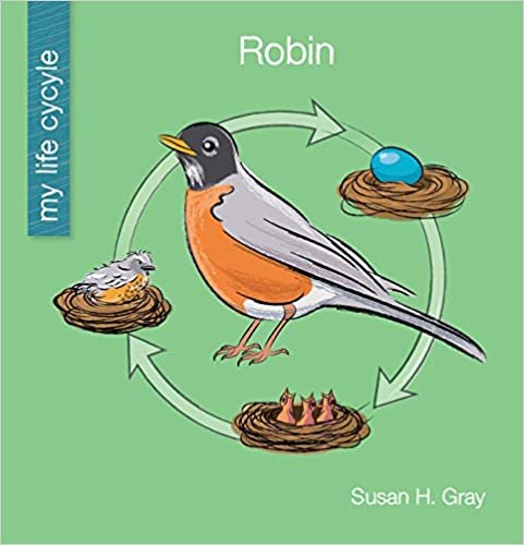 okumak Robin (My Life Cycle)