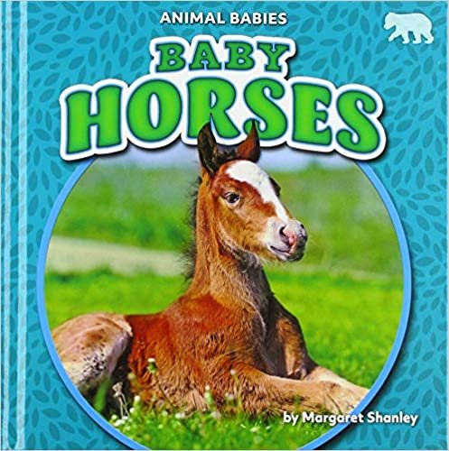 okumak Baby Horses (Animal Babies)