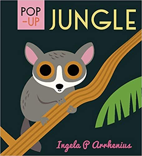 okumak Pop-up Jungle