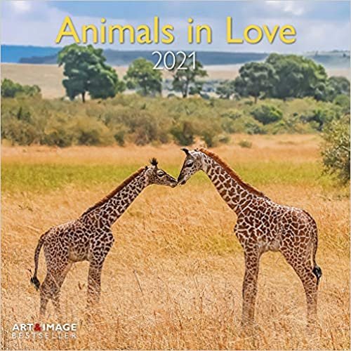 okumak Animals in Love 2021 - Wand-Kalender - Broschüren-Kalender - A&amp;I - 30x30 - 30x60 geöffnet